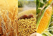 Agricultural Products