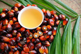 Palm Oil